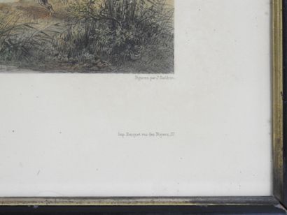 Louis Émile DARDOIZE (1826-1901), d'après...