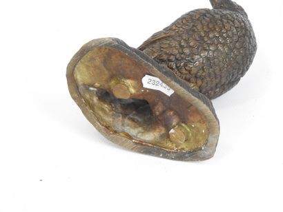 Irénée ROCHARD (1906 - 1984). Bécasse. Bronze...