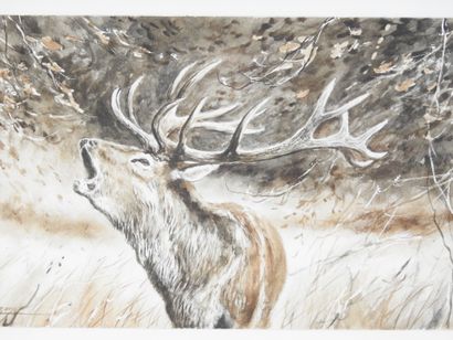 Dominique PIZON (né en 1966) : Cerf au brame....