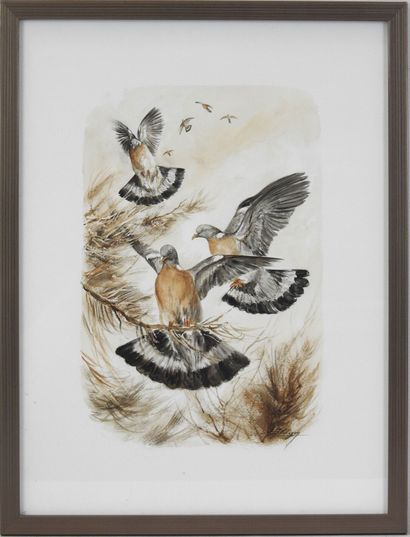 Dominique PIZON (né en 1966) : Pigeons ramiers....