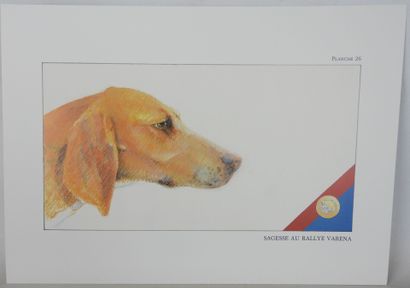 MIRABEL (Jean-Louis). Nos chiens de chevreuil....