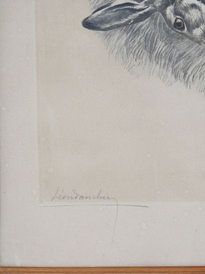 Léon DANCHIN (1889-1938) d'après : Griffon...