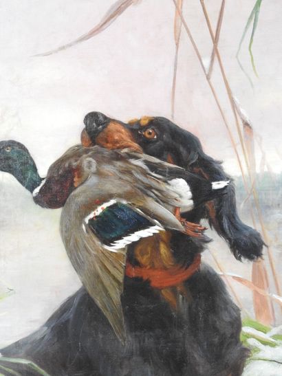Gaston GELIBERT (1850-1931) : Setter au canard....