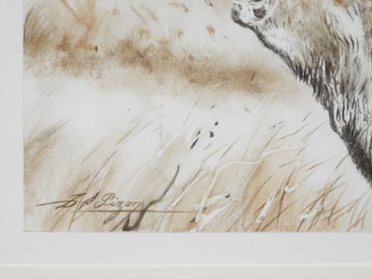Dominique PIZON (né en 1966) : Cerf au brame....