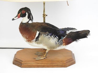 LAMPE de salon à décor d'un canard naturalisé....
