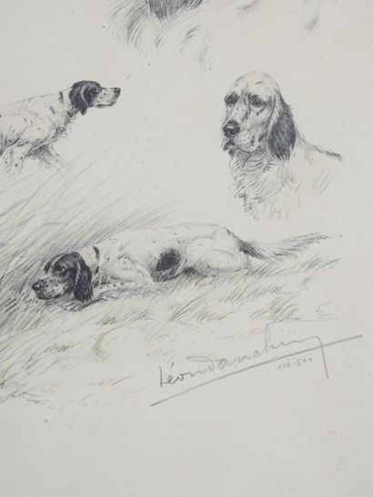 Léon DANCHIN (1887-1938) : Deux études de...