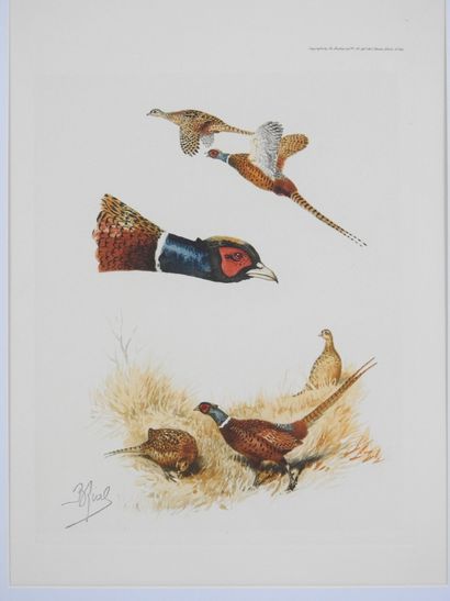 Boris RIABOUCHINSKY dit Boris RIAB (1898-1975),...