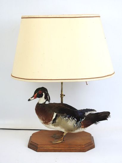 LAMPE de salon à décor d'un canard naturalisé....