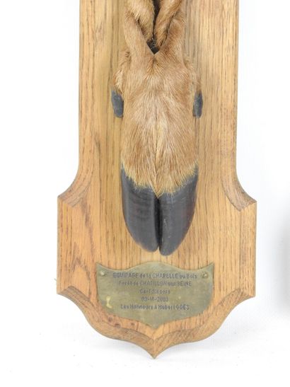 DEUX PIEDS D'HONNEUR de cerf, l'un marqué...