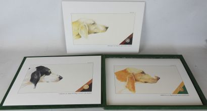 MIRABEL (Jean-Louis). Nos chiens de chevreuil....