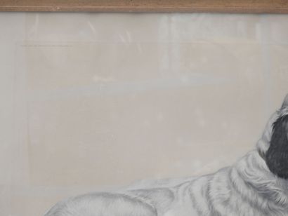 Léon DANCHIN d'après : Deux Setters anglais....