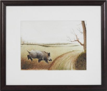 Francis HULOT - XXe siècle : Sanglier. Aquarelle...