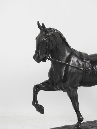 Pierre Nicolas TOURGUENEFF (1854-1912) :...