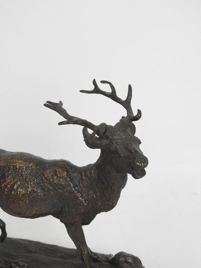 Ecole du XIXe siècle : Cerf bramant. Epreuve...