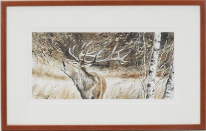 Dominique PIZON (né en 1966) : Cerf au brame....