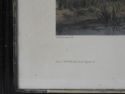 Louis Émile DARDOIZE (1826-1901), d'après...