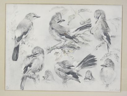 Xavier DE PORET (1894-1975) : Les Geais....
