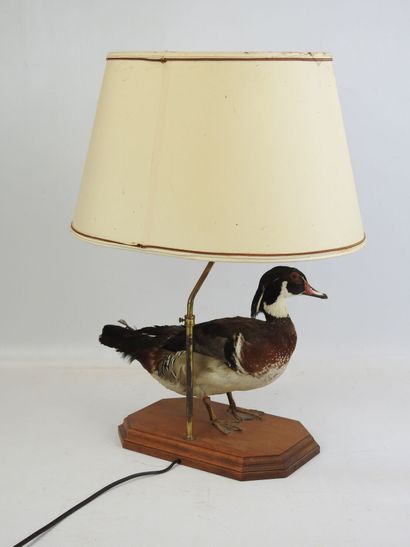 LAMPE de salon à décor d'un canard naturalisé....
