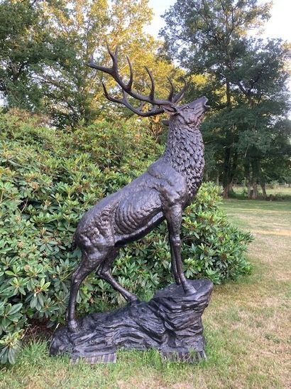 Cerf bramant, important bronze à patine brun...