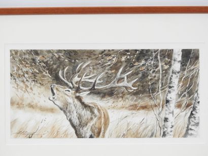 Dominique PIZON (né en 1966) : Cerf au brame....