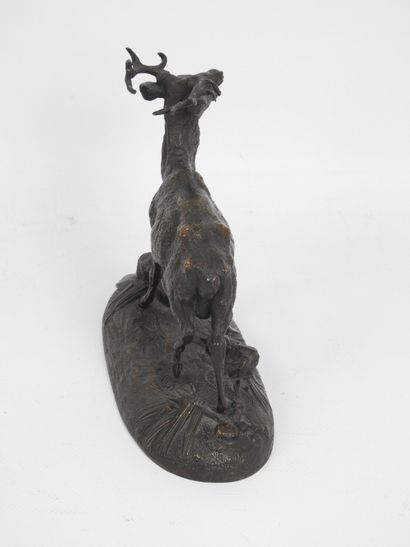 Ecole du XIXe siècle : Cerf bramant. Epreuve...