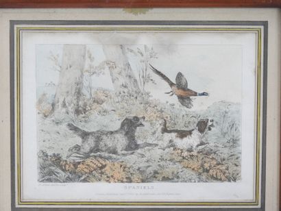 Samuel Henry ALKEN (1810-1897) d'après :...