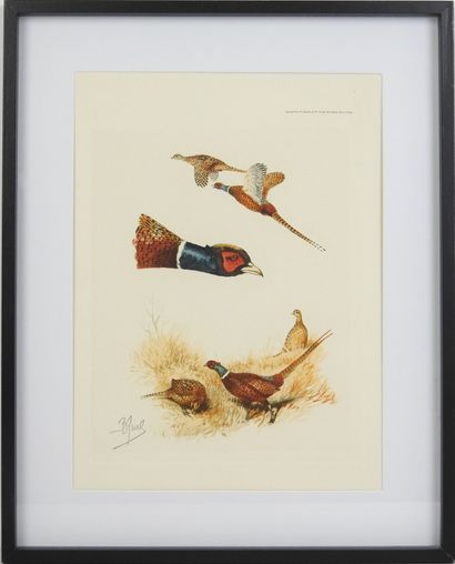 Boris RIABOUCHINSKY dit Boris RIAB (1898-1975),...