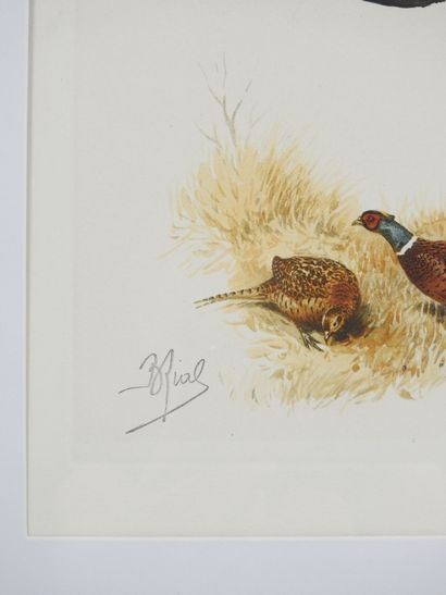 Boris RIABOUCHINSKY dit Boris RIAB (1898-1975),...