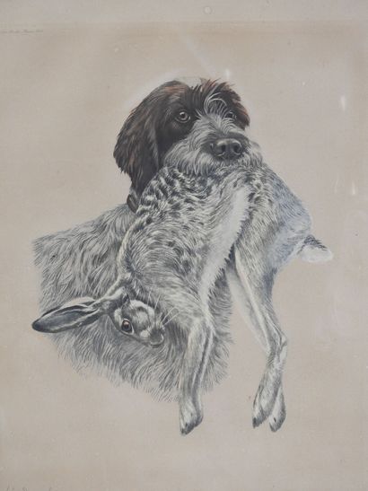 Léon DANCHIN (1889-1938) d'après : Griffon...