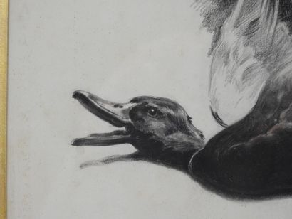 Xavier de PORET (1894-1975) : Le Canard....