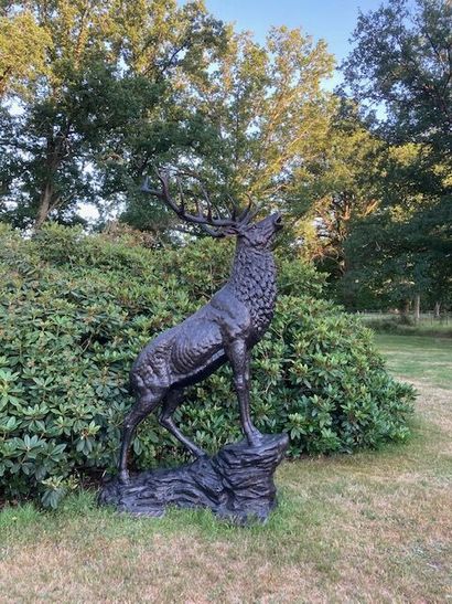 Cerf bramant, important bronze à patine brun...