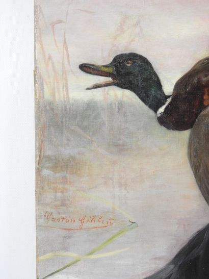 Gaston GELIBERT (1850-1931) : Setter au canard....