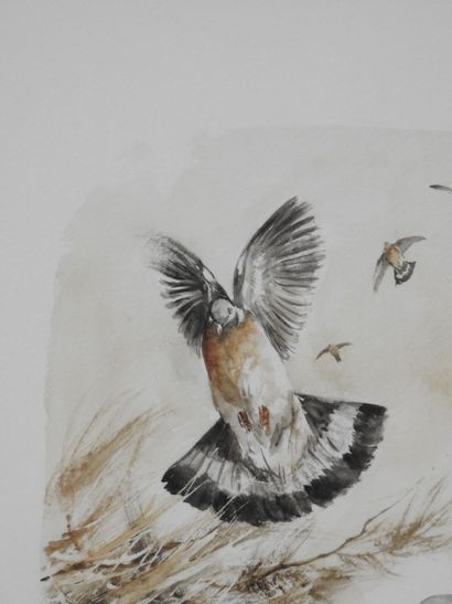 Dominique PIZON (né en 1966) : Pigeons ramiers....
