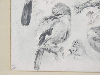 Xavier DE PORET (1894-1975) : Les Geais....