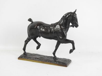 Pierre Nicolas TOURGUENEFF (1854-1912) :...