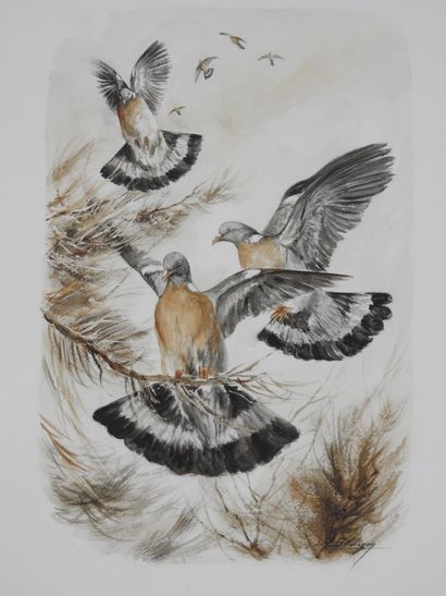 Dominique PIZON (né en 1966) : Pigeons ramiers....