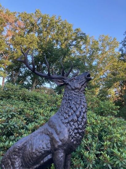 Cerf bramant, important bronze à patine brun...