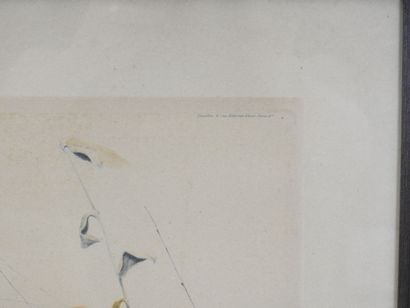 Léon DANCHIN (1889-1938) d'après : Griffon...