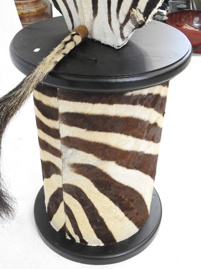Zèbre de Hartmann (Equus zebra hartmannae)...