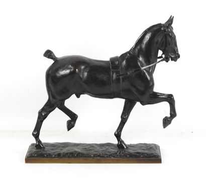 Pierre Nicolas TOURGUENEFF (1854-1912) :...