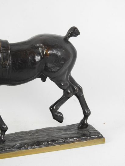 Pierre Nicolas TOURGUENEFF (1854-1912) :...