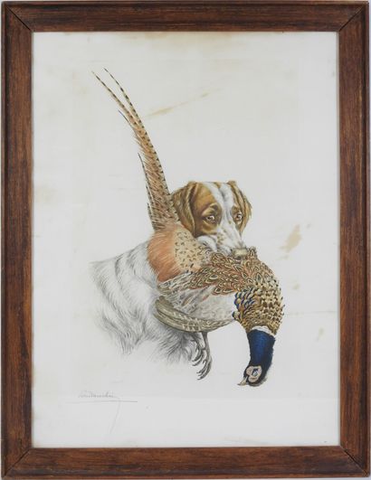 Léon DANCHIN (1887-1938). Epagneul breton...