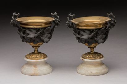 PAIRE DE VASES en bronze à double patine...