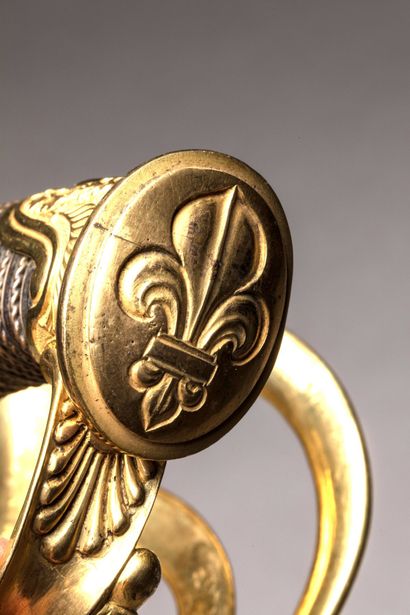 SABRE for a senior officer of the Royal Gendarmerie,...