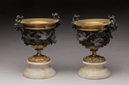 PAIRE DE VASES en bronze à double patine...