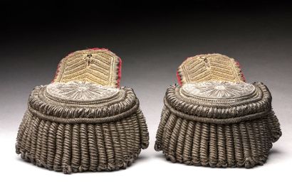 King's Bodyguards officer's EMBROIDER with...