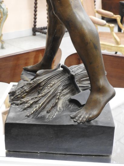 Emile Louis PICAULT (1833-1915) : Virtutes...