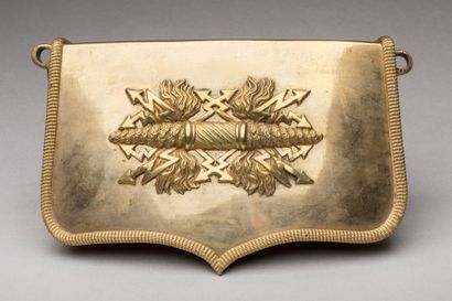 GENDERNE DE GENDARME de la Garde du Roi of...