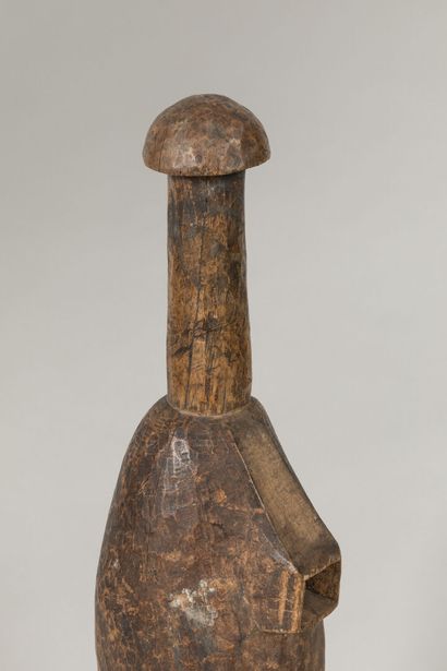 SENOUFO, Côte d'Ivoire.
Bois, patine d'usage.
Trompe...