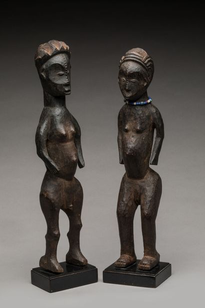 NGBAKA, République Démocratique du Congo.
Bois...